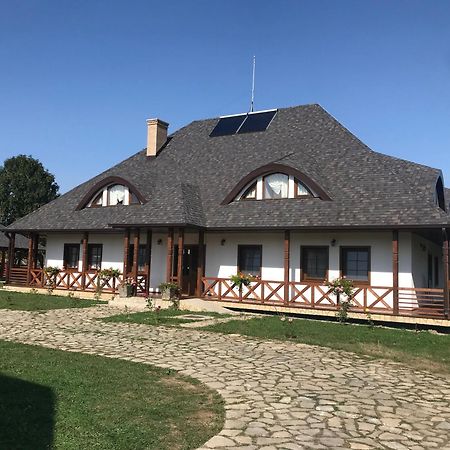 Hotel Casa Strabunicului Partestii de Sus  Exteriér fotografie